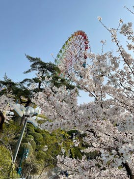 ひらかたパークに投稿された画像（2021/3/31）