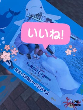 横浜・八景島シーパラダイスに投稿された画像（2021/3/31）