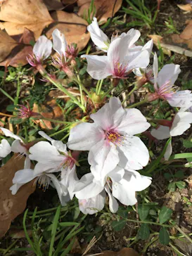 天王寺動物園に投稿された画像（2021/3/31）