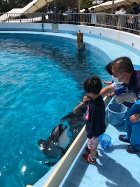 マリンワールド海の中道に投稿された画像（2021/3/31）