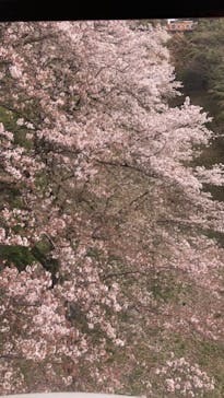 よみうりランド 遊園地に投稿された画像（2021/3/31）