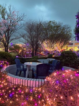 よみうりランド 遊園地に投稿された画像（2021/3/31）