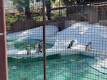 天王寺動物園に投稿された画像（2021/4/1）