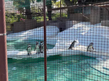 天王寺動物園に投稿された画像（2021/4/1）