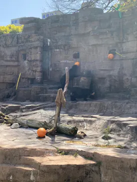 天王寺動物園に投稿された画像（2021/4/1）