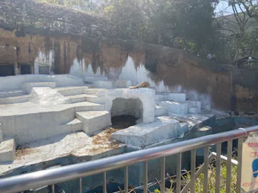 天王寺動物園に投稿された画像（2021/4/1）