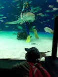 サンシャイン水族館に投稿された画像（2021/4/1）