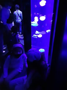 サンシャイン水族館に投稿された画像（2021/4/1）