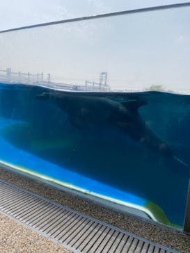 京都水族館に投稿された画像（2021/4/1）