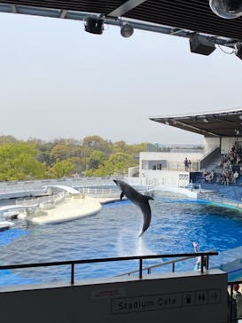京都水族館に投稿された画像（2021/4/1）