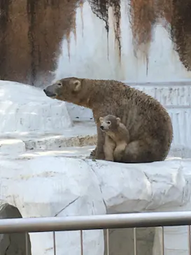 天王寺動物園に投稿された画像（2021/4/1）