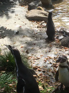 天王寺動物園に投稿された画像（2021/4/1）