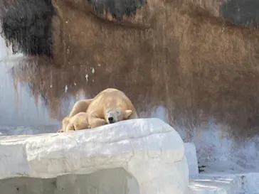 天王寺動物園に投稿された画像（2021/4/1）