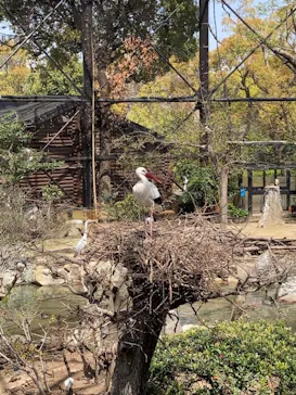 天王寺動物園に投稿された画像（2021/4/1）
