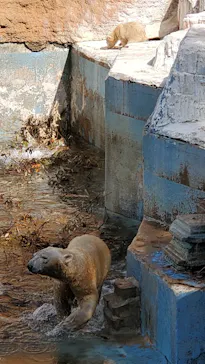天王寺動物園に投稿された画像（2021/4/1）