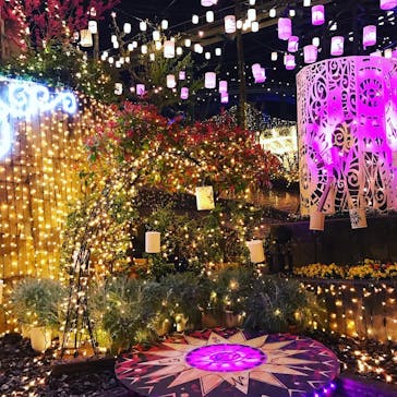 ひらかたパークに投稿された画像（2021/4/1）