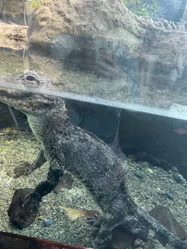 天王寺動物園に投稿された画像（2021/4/1）