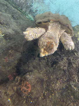 天王寺動物園に投稿された画像（2021/4/1）