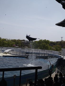 京都水族館に投稿された画像（2021/4/1）