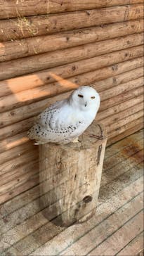 伊豆・三津シーパラダイスに投稿された画像（2021/4/1）