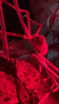 伊豆・三津シーパラダイスに投稿された画像（2021/4/1）