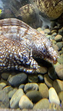 伊豆・三津シーパラダイスに投稿された画像（2021/4/1）