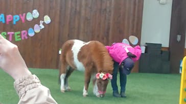 ノーザンホースパークに投稿された画像（2021/4/1）