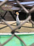 天王寺動物園に投稿された画像（2021/4/1）
