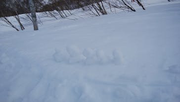 野沢温泉スキー場に投稿された画像（2021/4/1）