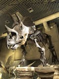 国立科学博物館に投稿された画像（2021/4/1）