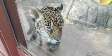 天王寺動物園に投稿された画像（2021/4/1）