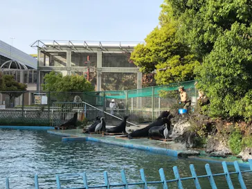 天王寺動物園に投稿された画像（2021/4/1）