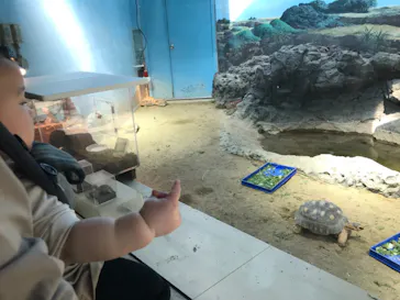 天王寺動物園に投稿された画像（2021/4/1）