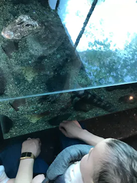 天王寺動物園に投稿された画像（2021/4/1）