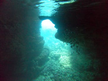 武藤潜水に投稿された画像（2021/4/1）