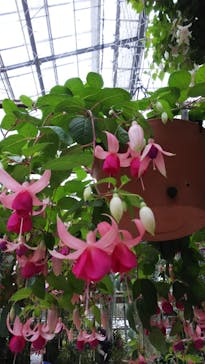 神戸どうぶつ王国に投稿された画像（2021/4/1）