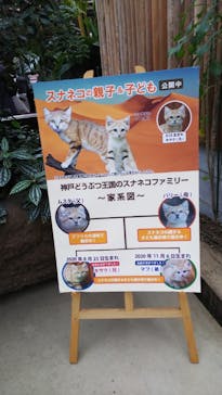 神戸どうぶつ王国に投稿された画像（2021/4/1）