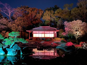 二条城×ネイキッド 二条城夏まつり2021に投稿された画像（2021/4/1）