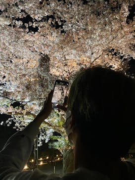 二条城×ネイキッド 二条城夏まつり2021に投稿された画像（2021/4/1）