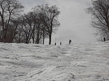 野沢温泉スキー場に投稿された画像（2021/4/1）