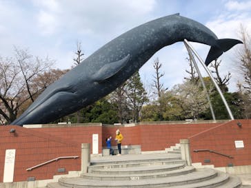 国立科学博物館に投稿された画像（2021/4/1）