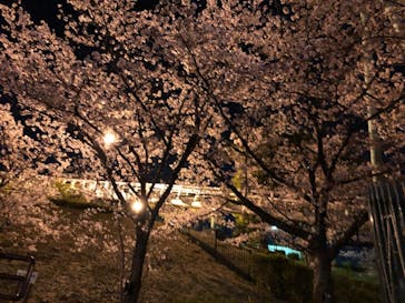 ひらかたパークに投稿された画像（2021/4/1）