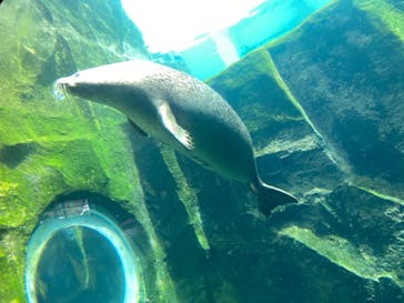 旭川市旭山動物園に投稿された画像（2021/4/1）