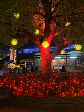 ひらかたパークに投稿された画像（2021/4/1）