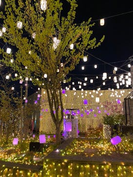 ひらかたパークに投稿された画像（2021/4/1）