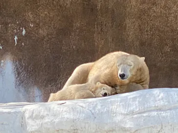 天王寺動物園に投稿された画像（2021/4/1）