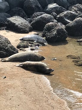 伊豆・三津シーパラダイスに投稿された画像（2021/4/1）