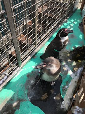 伊豆・三津シーパラダイスに投稿された画像（2021/4/1）