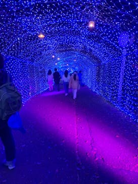 ひらかたパークに投稿された画像（2021/4/2）