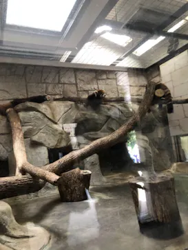 天王寺動物園に投稿された画像（2021/4/2）